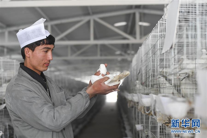 Ma?nahmen helfen den Bauern in Xinjiang gegen Armut