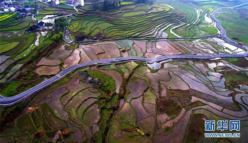 Sch?ne Frühlingslandschaft in China