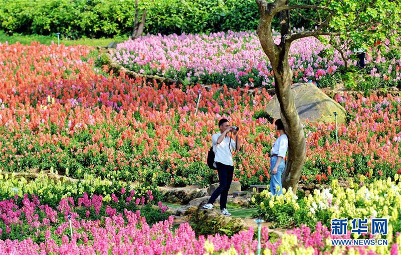 Sch?ne Frühlingslandschaft in China