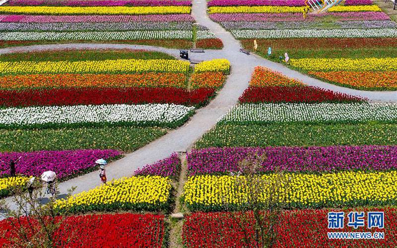 Tulpen-Kunstwerke in Wuhan