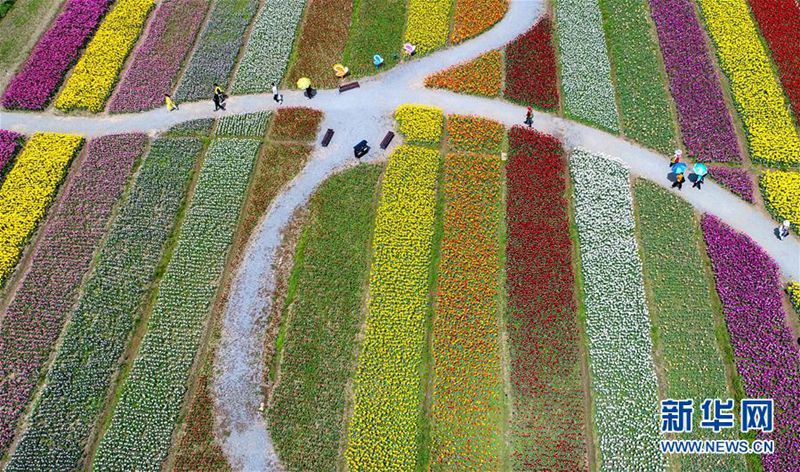 Tulpen-Kunstwerke in Wuhan