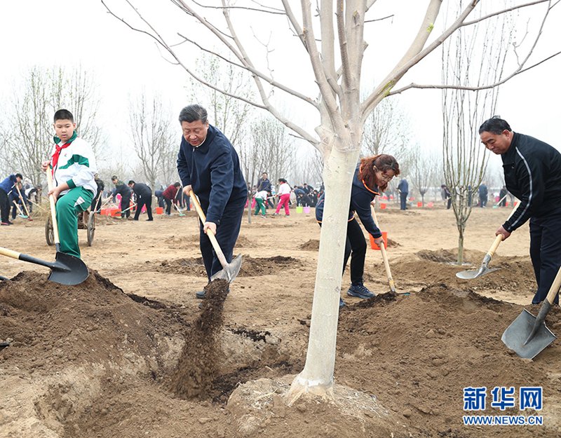 Xi Jinping betont ununterbrochene Bemühungen um Aufforstung
