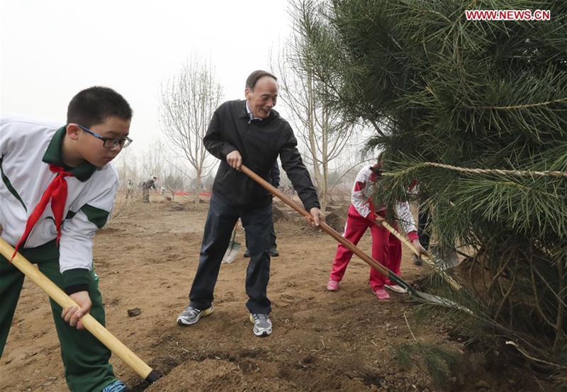 Xi Jinping betont ununterbrochene Bemühungen um Aufforstung