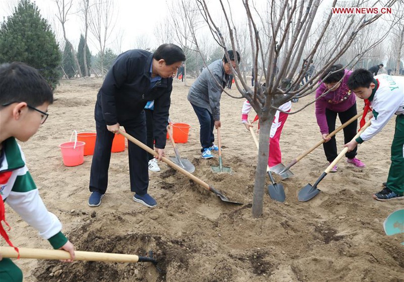 Xi Jinping betont ununterbrochene Bemühungen um Aufforstung