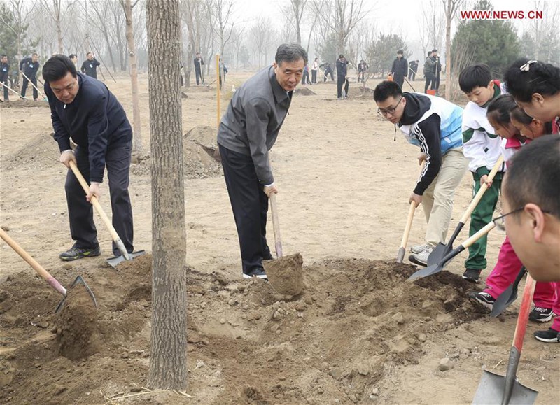 Xi Jinping betont ununterbrochene Bemühungen um Aufforstung