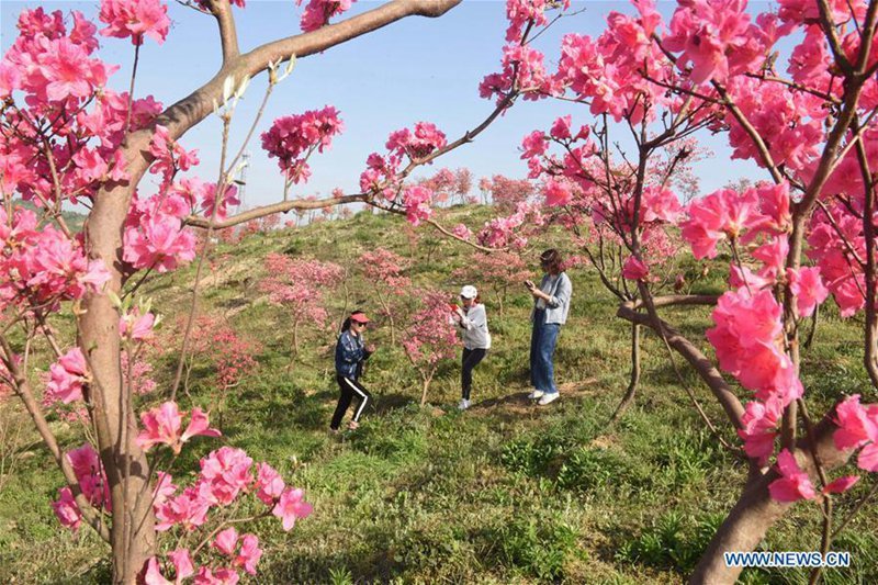 Menschen genie?en den Frühling