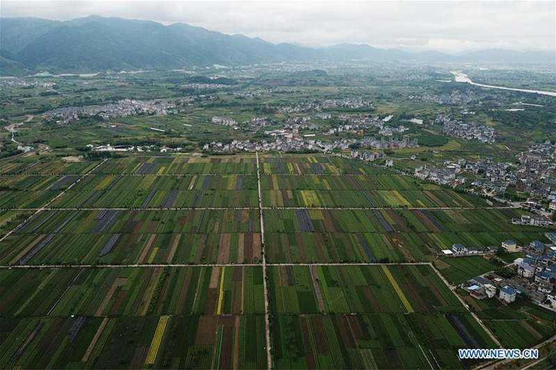 Eine Steigerung des l?ndlichen Lebens in Chinas Provinz Zhejiang