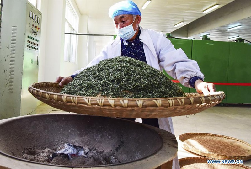 Teeplantagen bieten Arbeitspl?tze für arme Haushalte in Henan