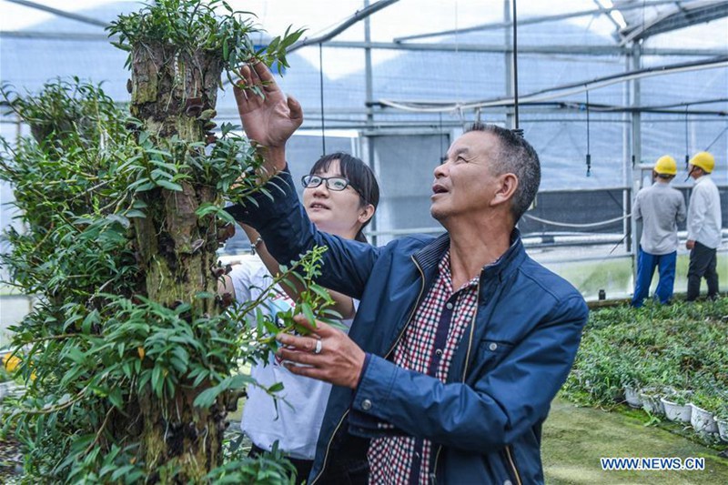Technik f?rdert die Ertr?ge der Agrikultur in der Provinz Zhejiang