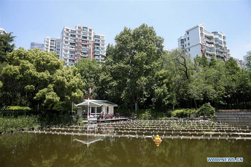 Chinesische Forscher verwenden neues Material zur Reinigung von Wasser