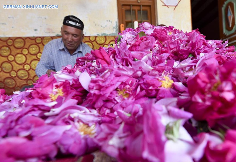 Leute verdienen durch Herstellung von Rosenso?e in Xinjiang