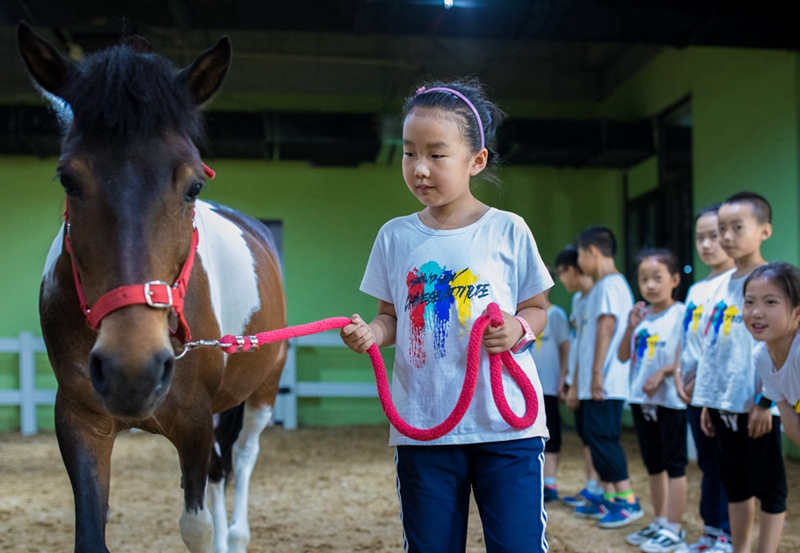 Grundschüler nehmen Reitunterricht im nordchinesischen Hohhot