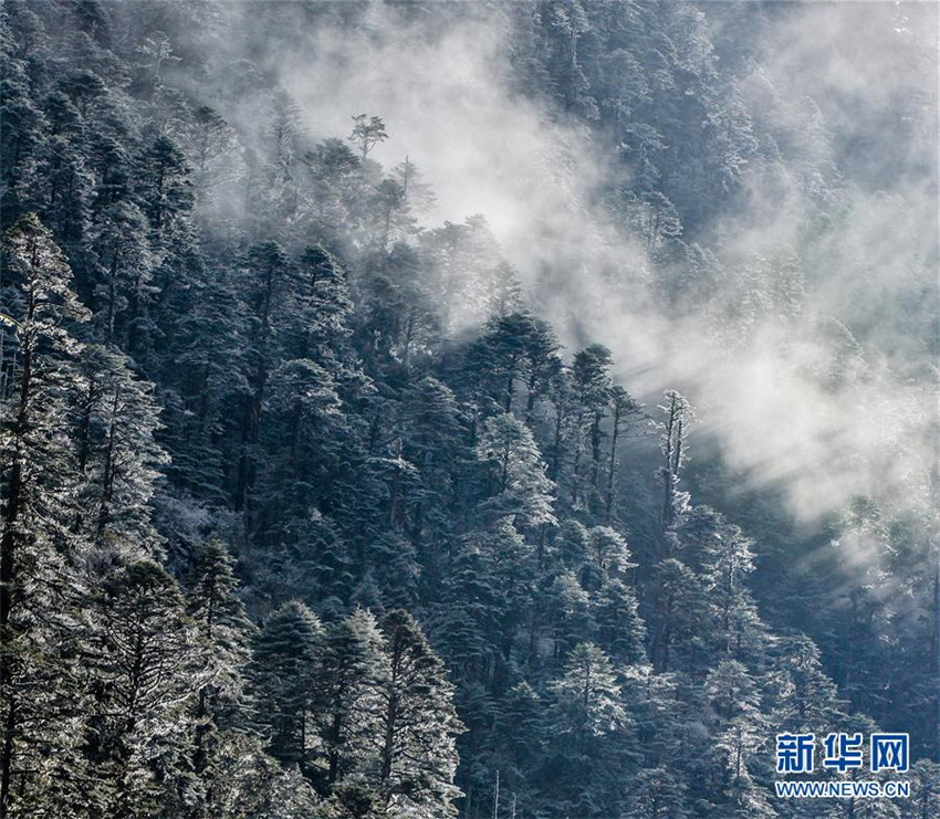 Qinghai-Tibet-Hochebene weiter unter saubersten Regionen der Welt