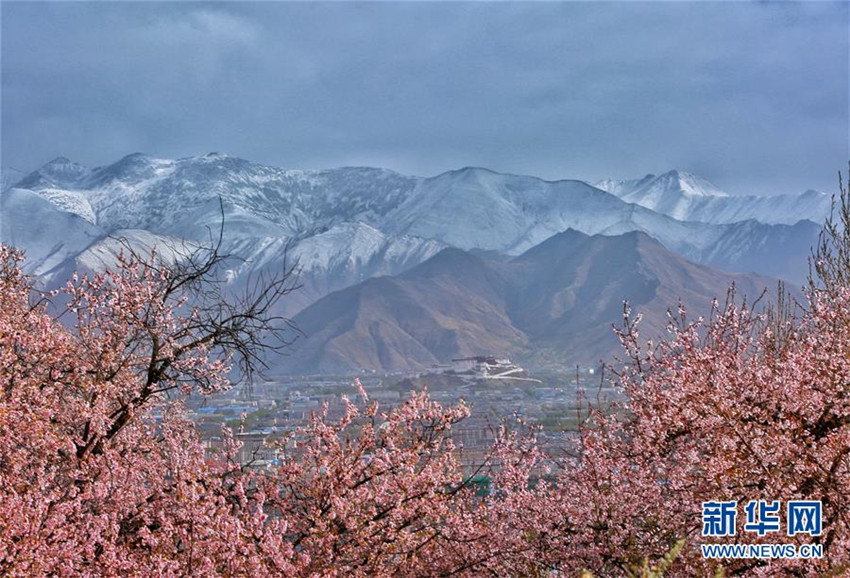 Qinghai-Tibet-Hochebene weiter unter saubersten Regionen der Welt