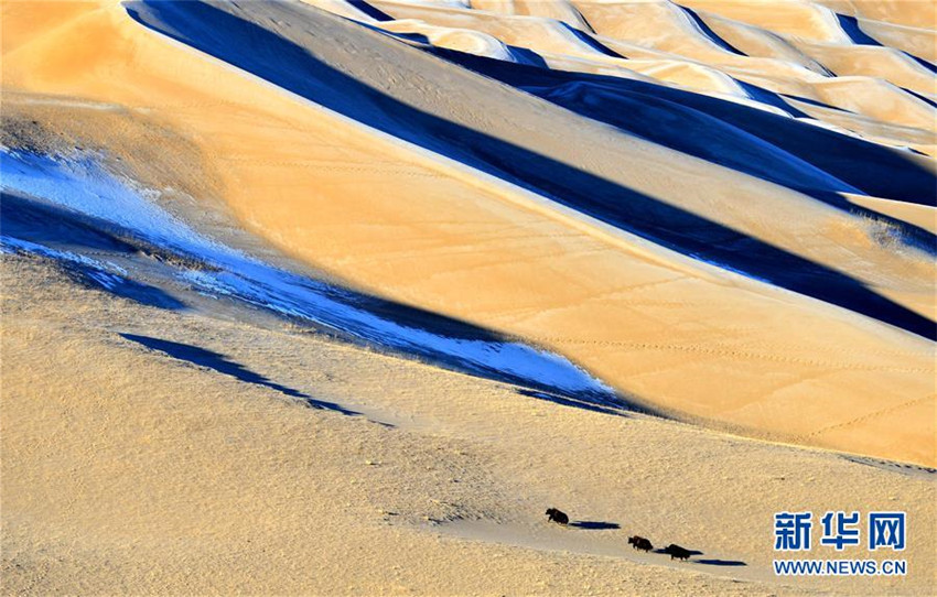 Qinghai-Tibet-Hochebene weiter unter saubersten Regionen der Welt