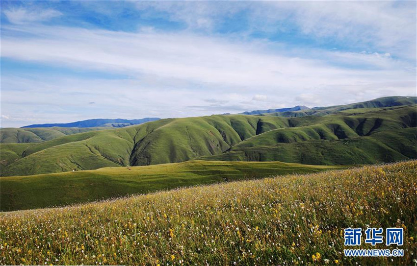 Qinghai-Tibet-Hochebene weiter unter saubersten Regionen der Welt