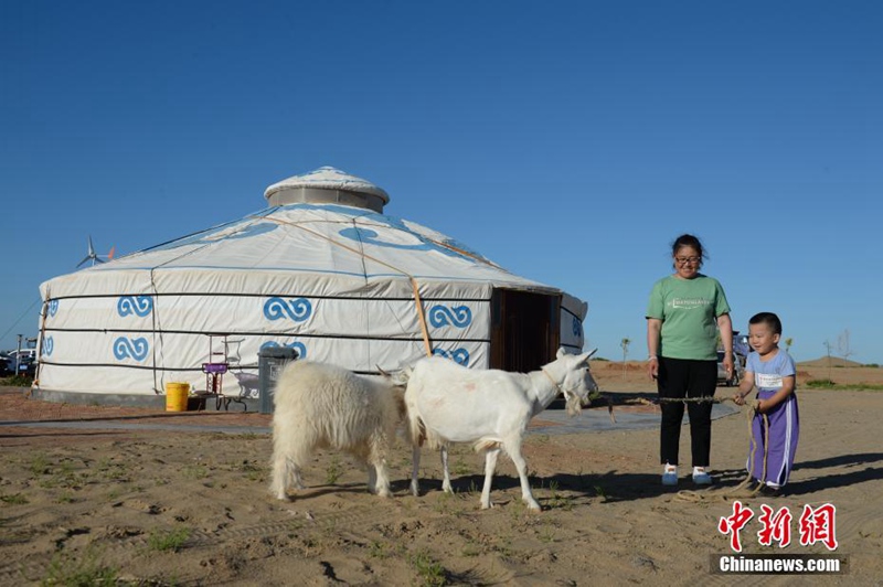 Die siebtgr??te Wüste Chinas wird grüner