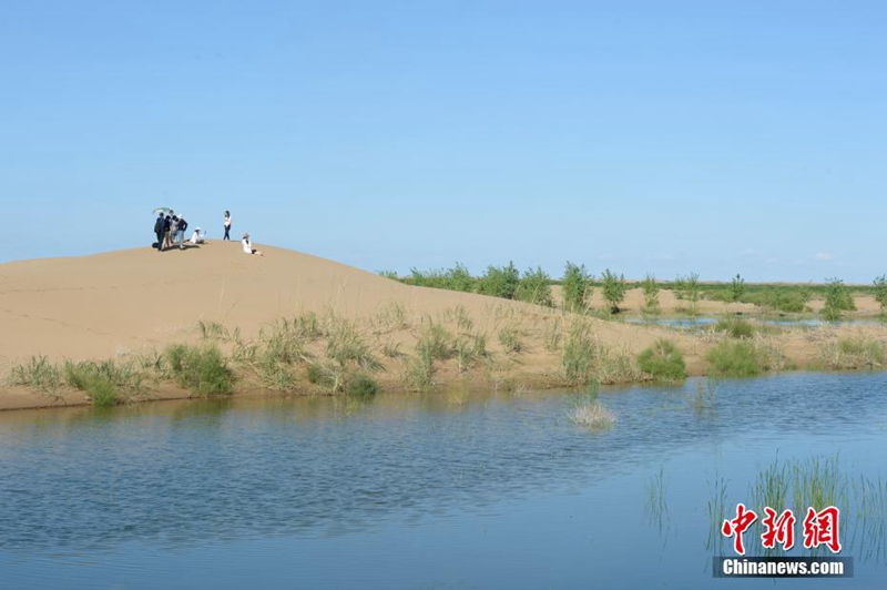 Die siebtgr??te Wüste Chinas wird grüner