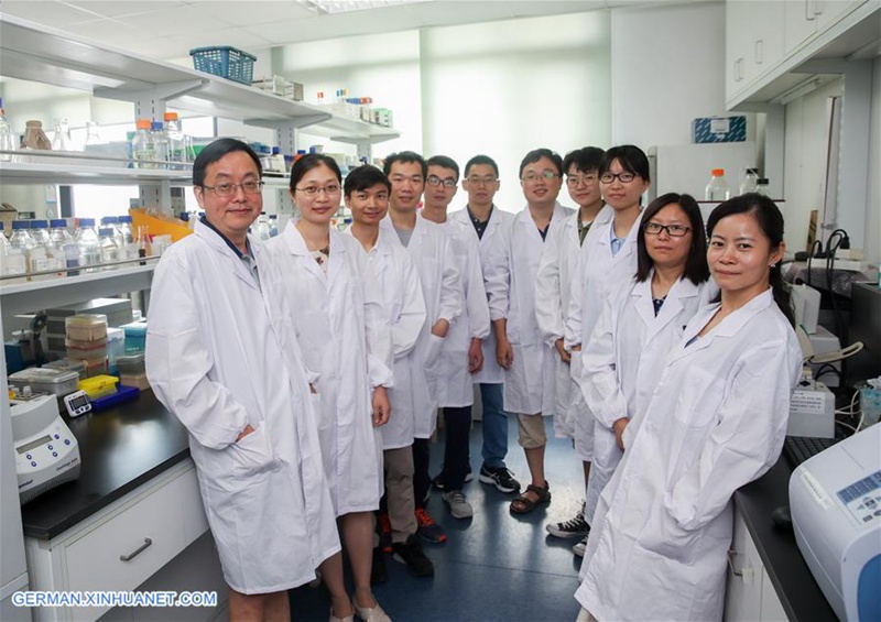 China Focus: Chinesische Wissenschaftler führen eine genetische Operation durch, um die erste Einzel-Chromosom-Hefe zu erzeugen