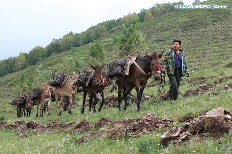 Arbeiter f?rdern den ?kologischen Schutz durch Aufforstung in Hebei