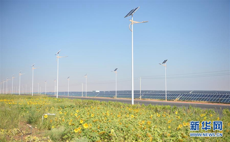 Effektiver Kampf gegen Verwüstung in Zhongwei, Ningxia