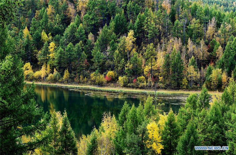 Atemberaubend sch?ne Landschaft in Arxan