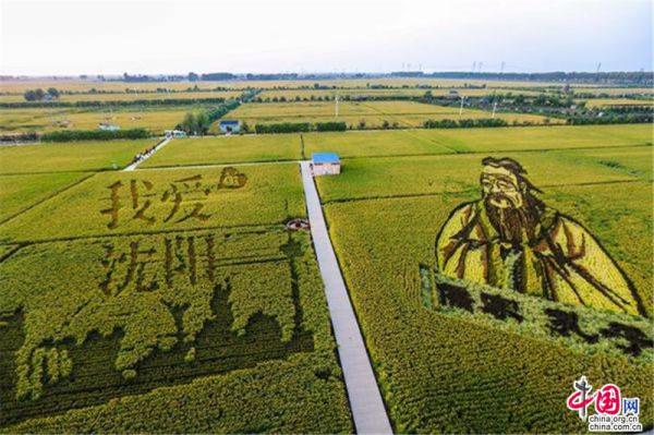 Reisfeldkunst in Shenyang erschafft ein M?rchenland