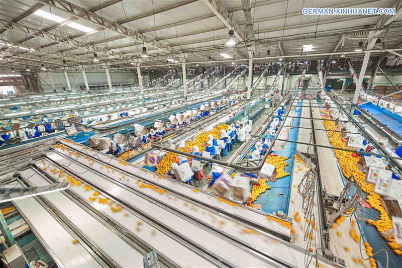?gyptischer Gesch?ftsmann: Import Expo in Shanghai wird ?gyptische Exporte nach China erh?hen