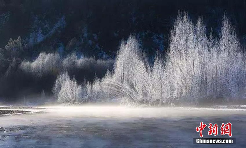 Minus 38 Grad Celsius: sch?ner Raureif in der k?ltesten Gemeinde Chinas