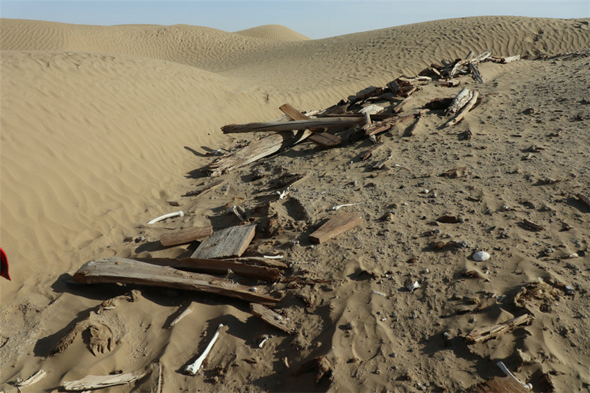 Arch?ologische Entdeckungen in Xinjiang
