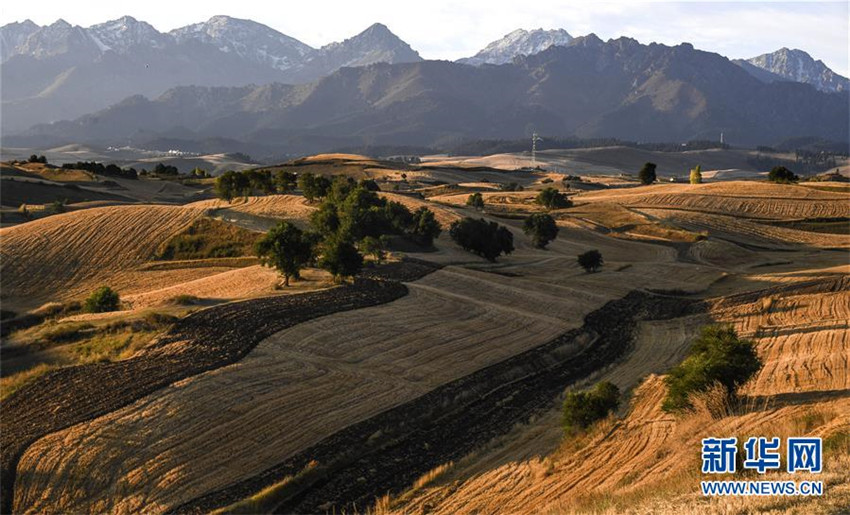 Fr?hliche Reise in sch?nem Xinjiang