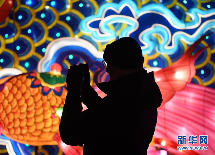 Chinesische Lichter erstrahlen im K?lner Zoo