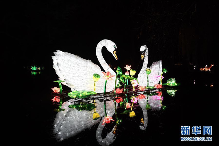 Chinesische Lichter erstrahlen im K?lner Zoo