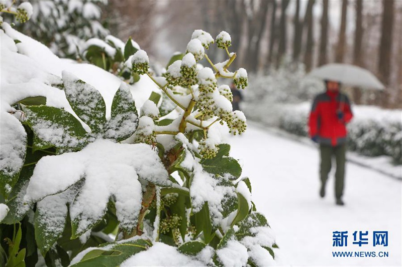 China begrü?t landesweit ersten Schnee des Jahres