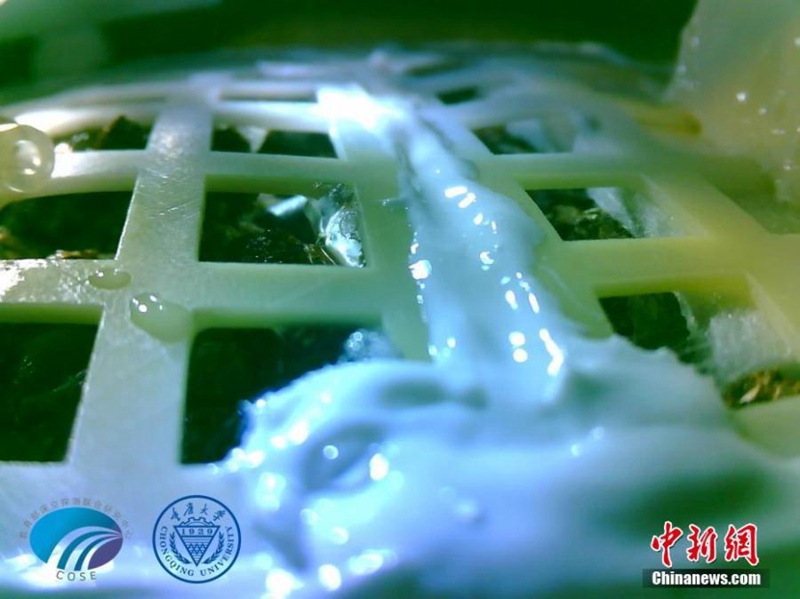 Chang’e-4 führt erstmals ein biologisches Experiment auf dem Mond durch