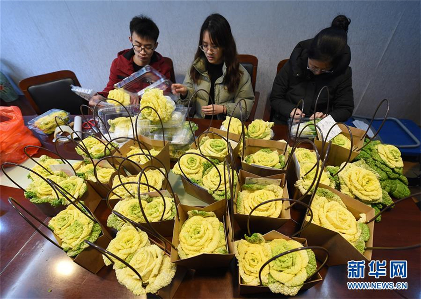 ?Chinesischer Rosenkohl“ kommt auf den Markt