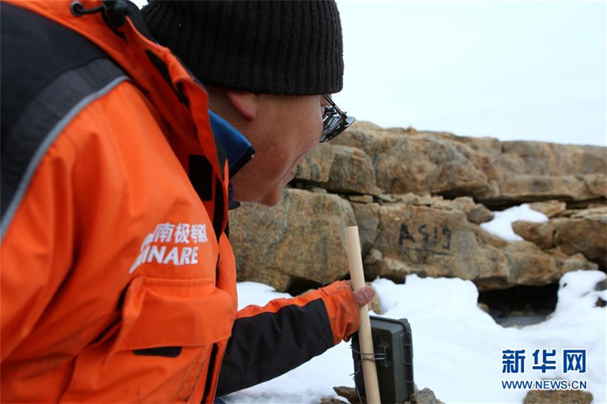 Chinas Antarktis-Expeditionsteam überwacht Schneesturmv?gel erstmals mit Infrarotkameras