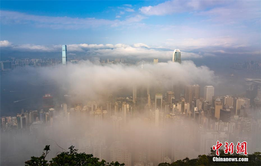 Nebel verwandelt Victoria Harbour in ein Wunderland