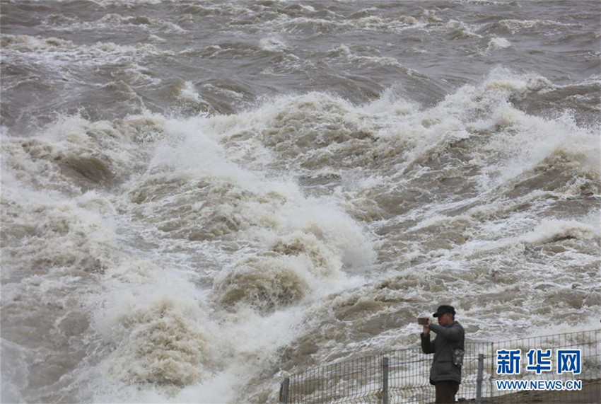 Pr?chtige Frühjahrsflut des Hukou-Wasserfalls