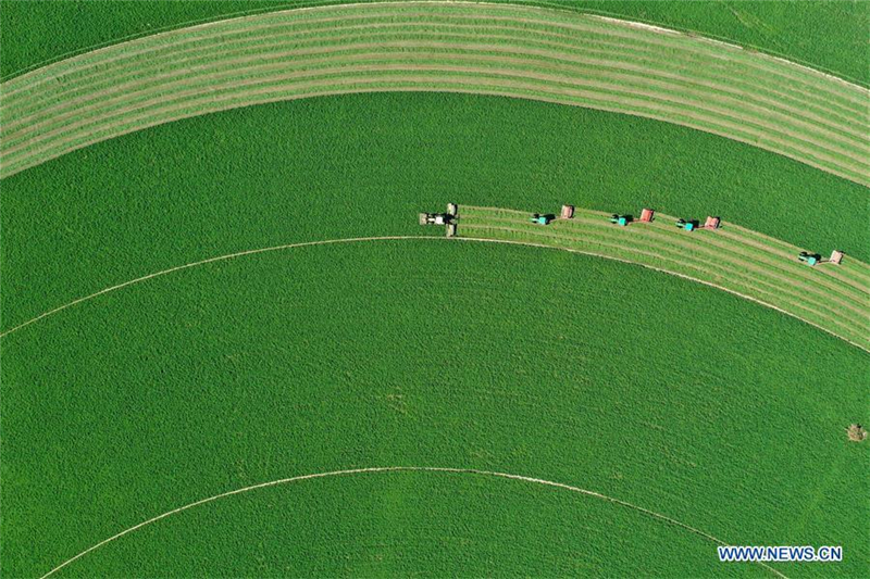 Menschen im ganzen Land feiern das chinesische Erntedankfest