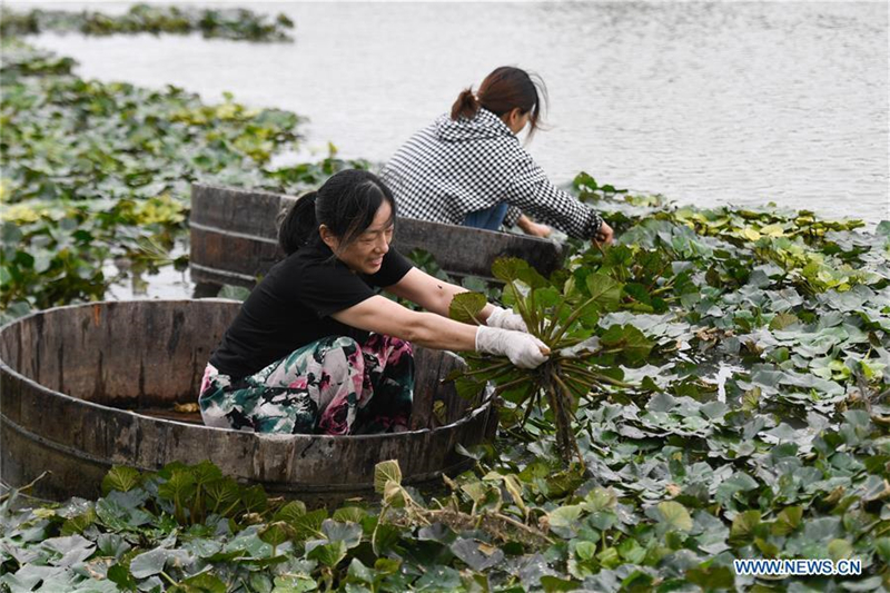 Menschen im ganzen Land feiern das chinesische Erntedankfest
