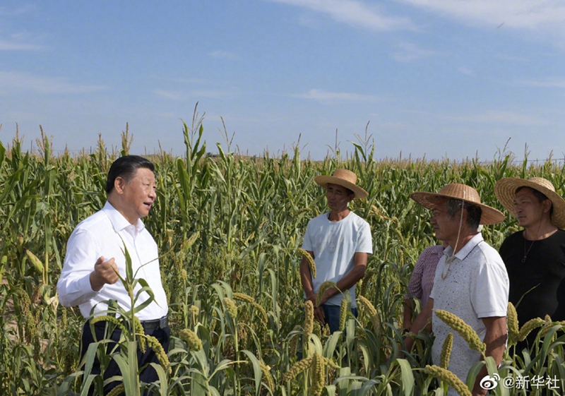 Xi inspiziert die nordwestchinesische Provinz Shaanxi