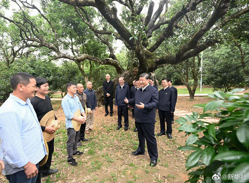 Xi Jinping bekr?ftigt auf Inspektionsreise in Guangdong umfassende Vertiefung der Reform und Erweiterung der ?ffnung nach au?en auf hohem Niveau