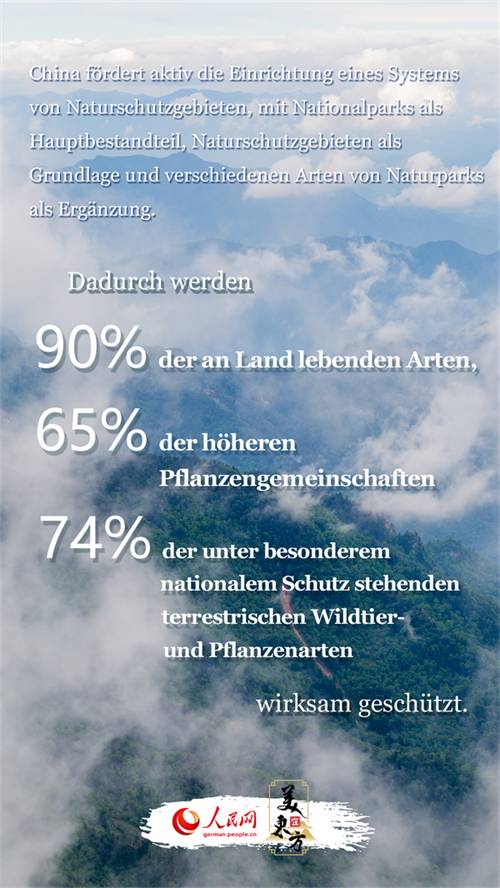 Der blaue Himmel, das grüne Land und das klare Wasser zeichnen ein neues Bild vom sch?nen China
