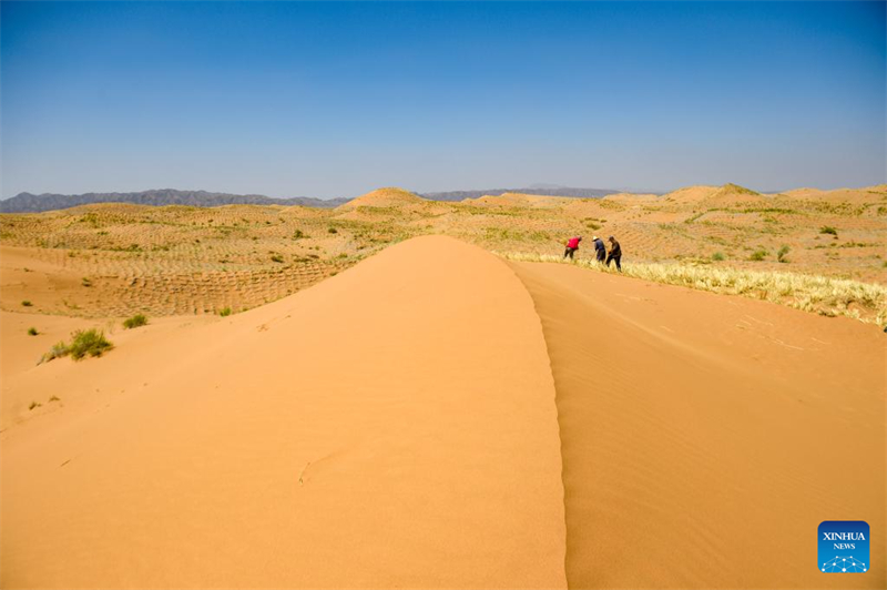 Innovative Werkzeuge und Technologien haben in Nordwestchina zur Kontrolle und Aufforstung der Sandwüste beigetragen