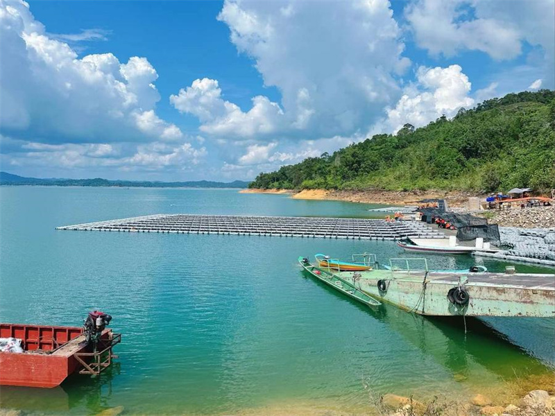 Chinas neue Energieindustrie f?rdert Malaysias grüne Transformation