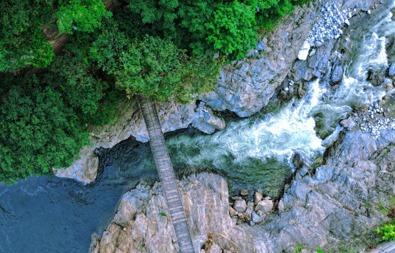 ?kologisch grüne Landschaft im experimentellen Forst Houzhenzi
