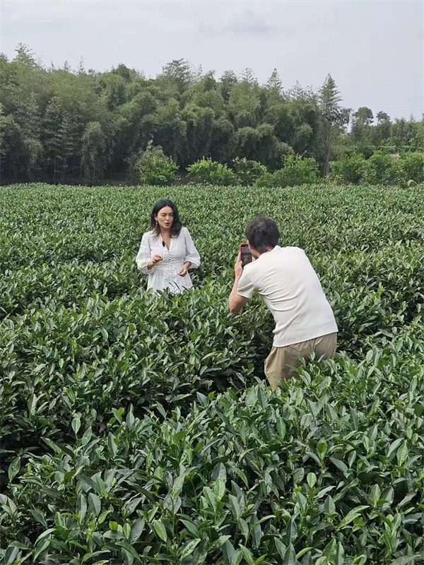 Mediengruppe aus lateinamerikanischen L?ndern in Chengdu: Tee pflücken und verkosten waren eine Freude