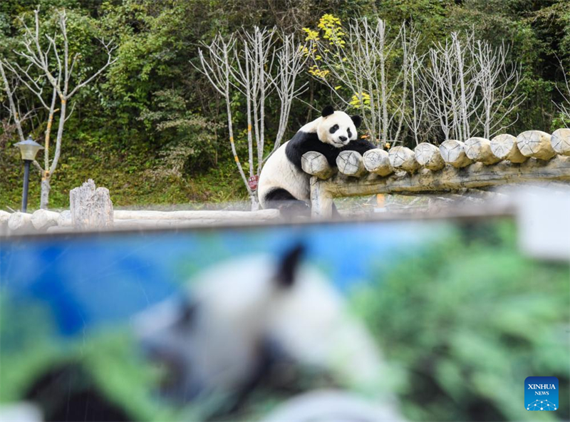 Neue Schnellstra?e soll Touristen Zugang zum Jiuzhaigou erleichtern