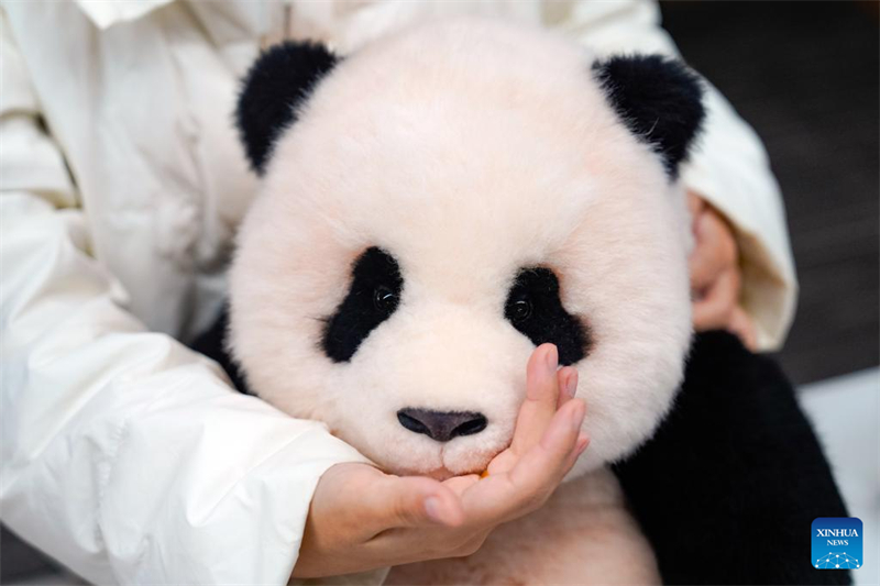 Chinas innovatives Panda-Spielzeug findet weltweit Anklang
